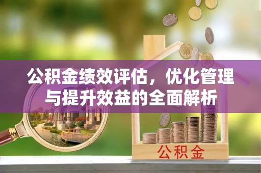 龙马潭公积金绩效评估，优化管理与提升效益的全面解析