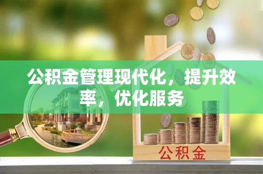 龙马潭公积金管理现代化，提升效率，优化服务