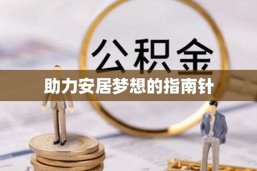 龙马潭助力安居梦想的指南针