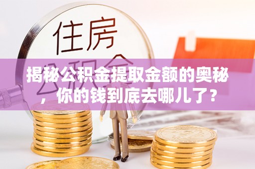 龙马潭揭秘公积金提取金额的奥秘，你的钱到底去哪儿了？
