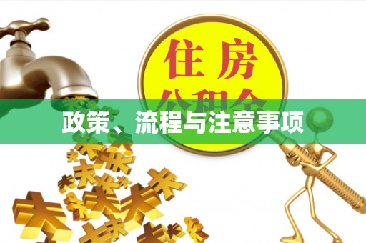 龙马潭政策、流程与注意事项