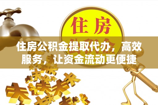 龙马潭住房公积金提取代办，高效服务，让资金流动更便捷