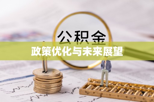 龙马潭政策优化与未来展望