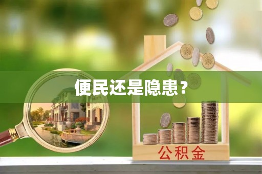 龙马潭便民还是隐患？