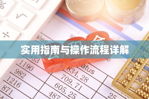龙马潭实用指南与操作流程详解