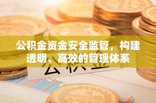 龙马潭公积金资金安全监管，构建透明、高效的管理体系