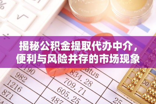 龙马潭揭秘公积金提取代办中介，便利与风险并存的市场现象