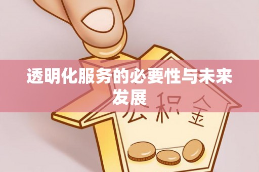 龙马潭透明化服务的必要性与未来发展