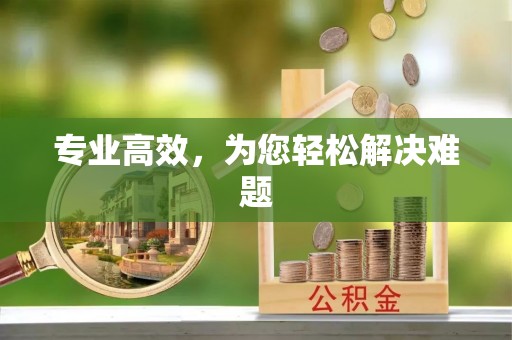 龙马潭专业高效，为您轻松解决难题