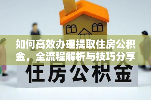 龙马潭如何高效办理提取住房公积金，全流程解析与技巧分享