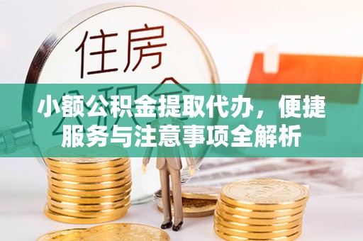 龙马潭小额公积金提取代办，便捷服务与注意事项全解析