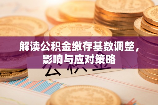 龙马潭解读公积金缴存基数调整，影响与应对策略