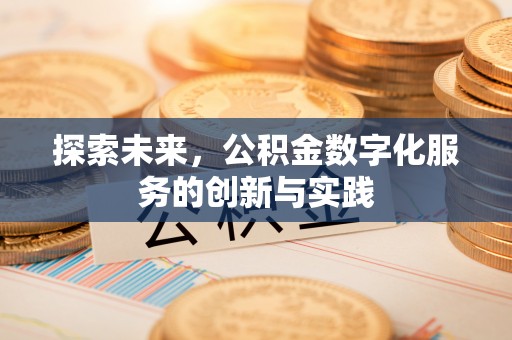 龙马潭探索未来，公积金数字化服务的创新与实践