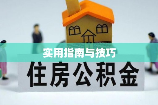 龙马潭实用指南与技巧