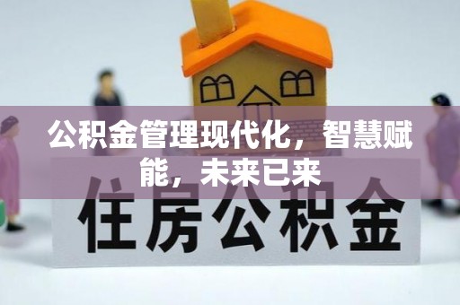龙马潭公积金管理现代化，智慧赋能，未来已来