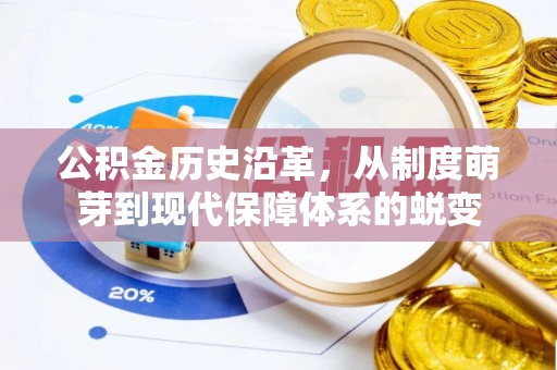 龙马潭公积金历史沿革，从制度萌芽到现代保障体系的蜕变