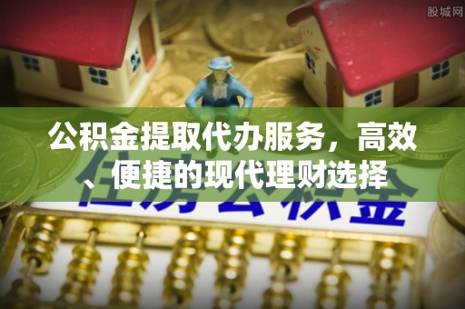 龙马潭公积金提取代办服务，高效、便捷的现代理财选择