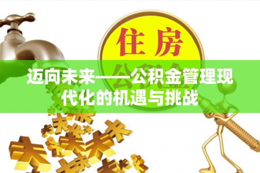 龙马潭迈向未来——公积金管理现代化的机遇与挑战