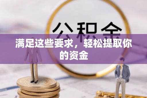 龙马潭满足这些要求，轻松提取你的资金