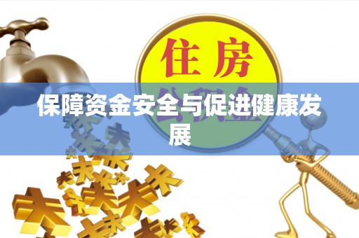 龙马潭保障资金安全与促进健康发展