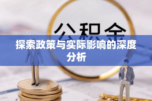 龙马潭探索政策与实际影响的深度分析