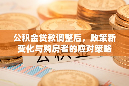龙马潭公积金贷款调整后，政策新变化与购房者的应对策略