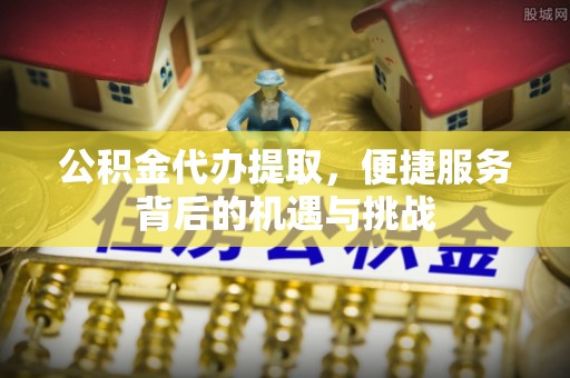 龙马潭公积金代办提取，便捷服务背后的机遇与挑战