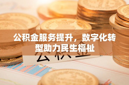 龙马潭公积金服务提升，数字化转型助力民生福祉
