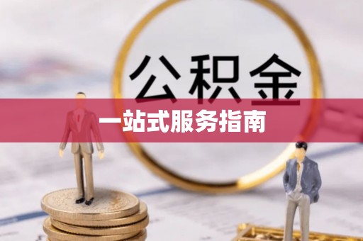 龙马潭一站式服务指南