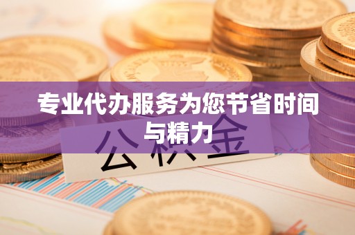 龙马潭专业代办服务为您节省时间与精力