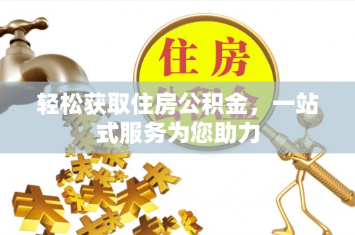 龙马潭轻松获取住房公积金，一站式服务为您助力