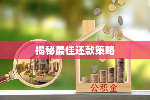 龙马潭揭秘最佳还款策略