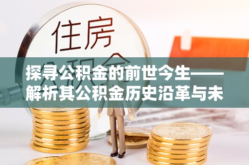 龙马潭探寻公积金的前世今生——解析其公积金历史沿革与未来方向