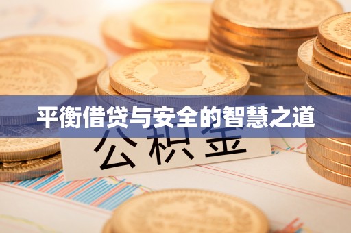 龙马潭平衡借贷与安全的智慧之道