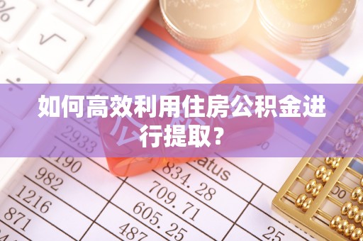 龙马潭如何高效利用住房公积金进行提取？