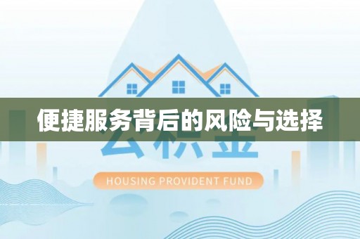龙马潭便捷服务背后的风险与选择