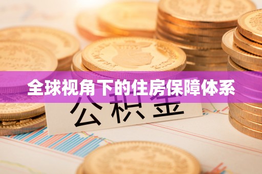 龙马潭全球视角下的住房保障体系