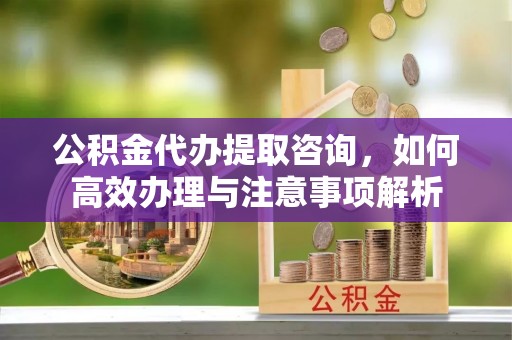 龙马潭公积金代办提取咨询，如何高效办理与注意事项解析