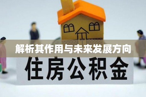 龙马潭解析其作用与未来发展方向