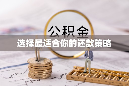 龙马潭选择最适合你的还款策略