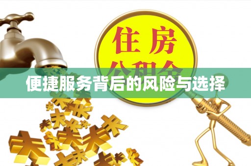 龙马潭便捷服务背后的风险与选择