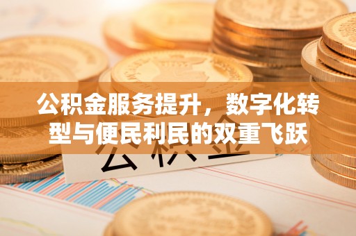 龙马潭公积金服务提升，数字化转型与便民利民的双重飞跃