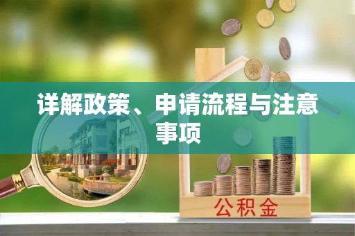 龙马潭详解政策、申请流程与注意事项