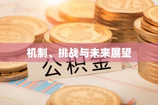 龙马潭机制、挑战与未来展望