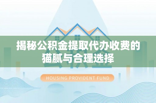 龙马潭揭秘公积金提取代办收费的猫腻与合理选择