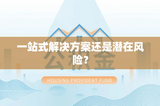 龙马潭一站式解决方案还是潜在风险？