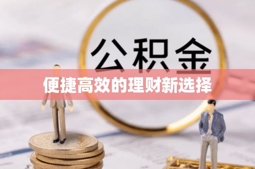 龙马潭便捷高效的理财新选择