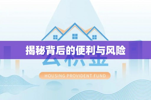 龙马潭揭秘背后的便利与风险