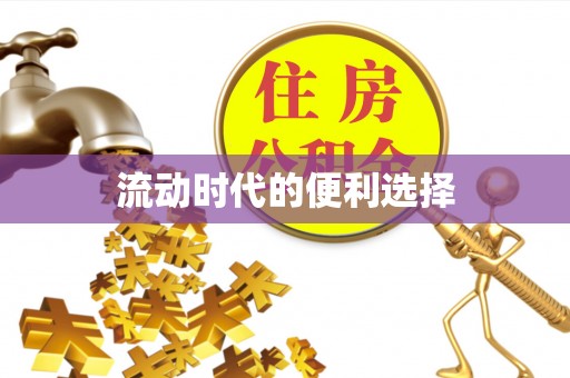 龙马潭流动时代的便利选择