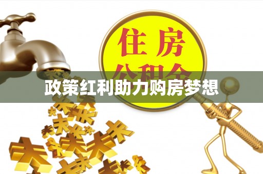 龙马潭政策红利助力购房梦想